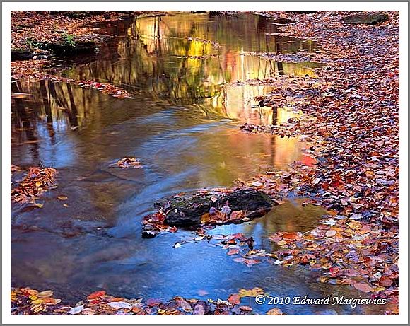 450705   Reflections along the Little River